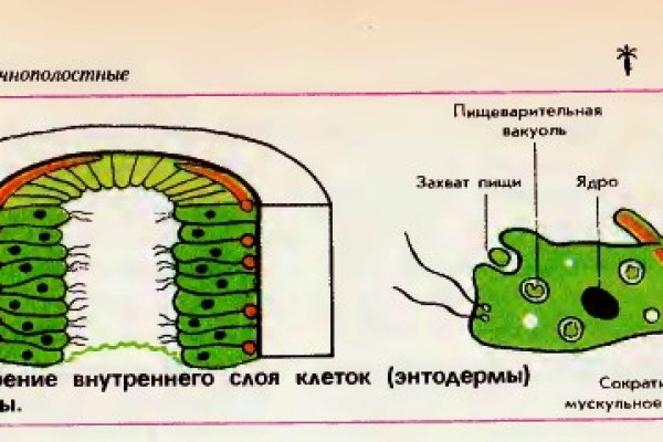 Кракен наркомагазин