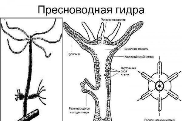 Ссылка кракен магазин